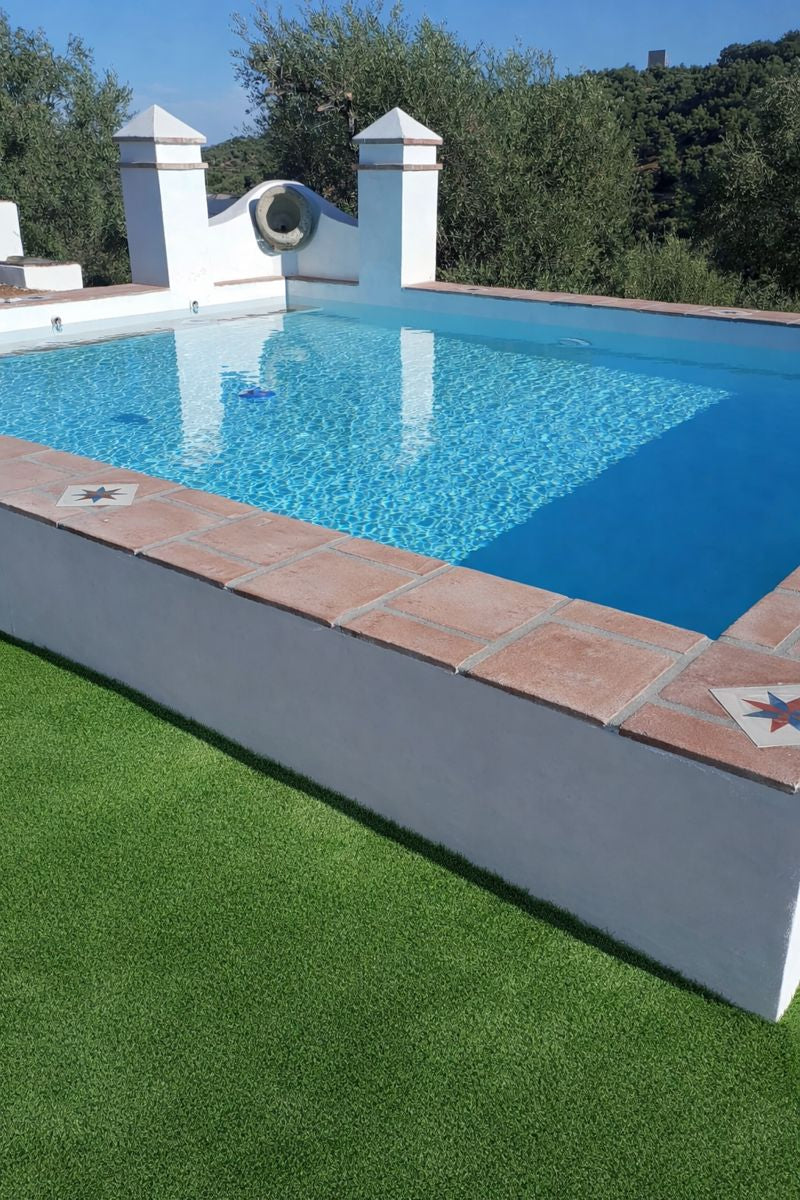 Piscina realizada desde simientos